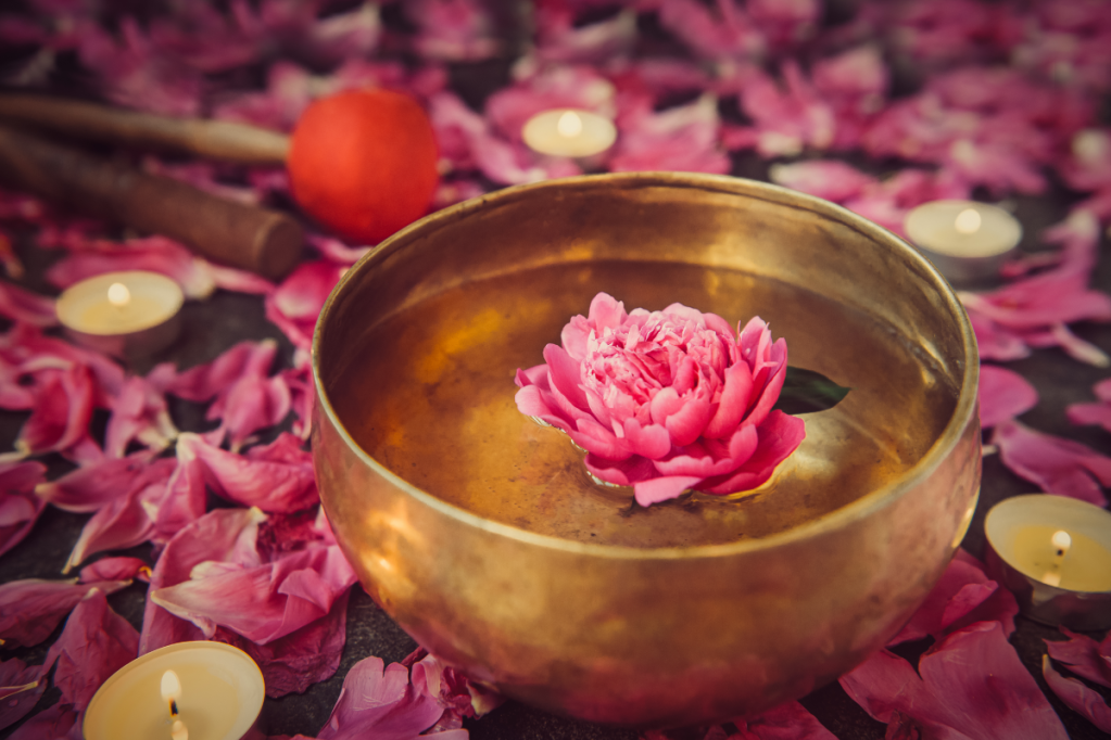 Body, Mind, Soul Coaching in Edmonton – Holistic Wellness for Women