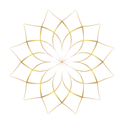 Body, Mind, Soul Coaching in Edmonton – Holistic Wellness for Women