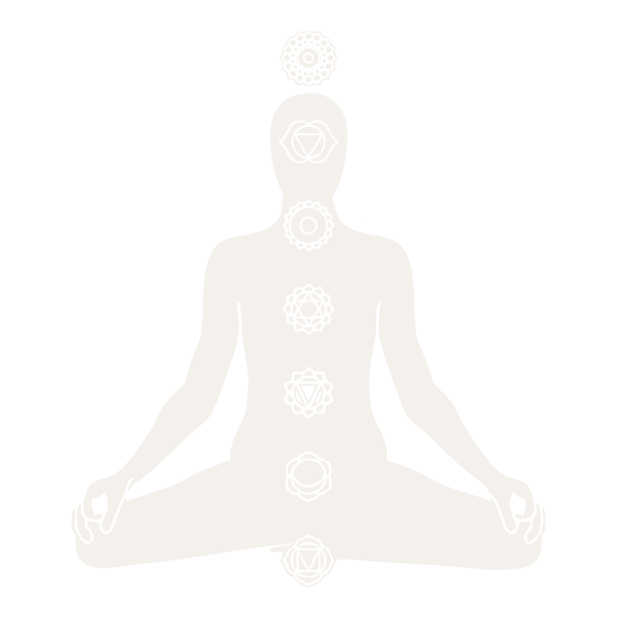 Holistic Personal Training for Women in Edmonton – Strength, Mobility & Confidence Coaching